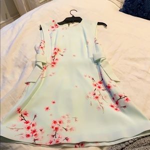NWOT Ted baker dress